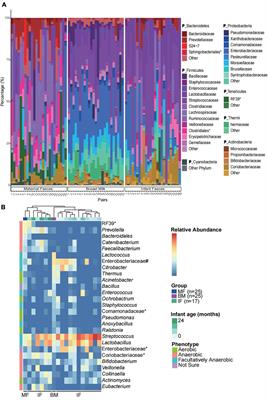 Association and Occurrence of Bifidobacterial Phylotypes Between Breast Milk and Fecal Microbiomes in Mother–Infant Dyads During the First 2 Years of Life